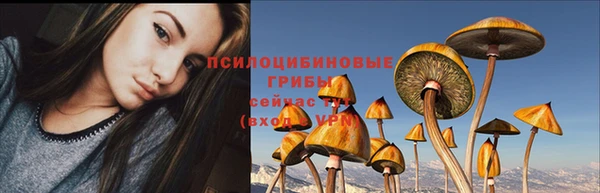 apvp Алексеевка
