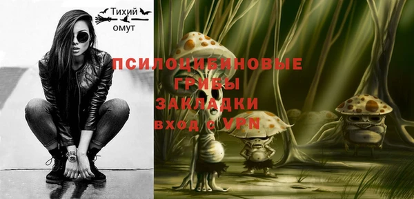 бошки Алексин