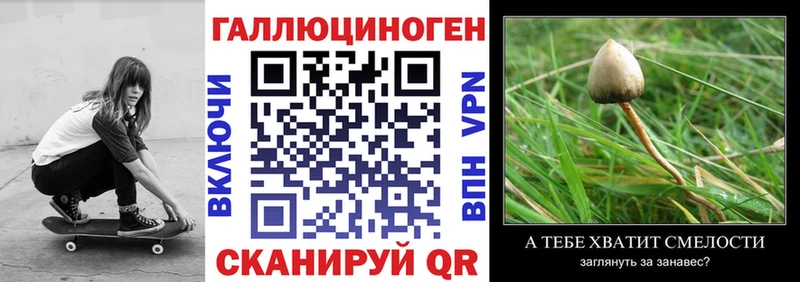 ОМГ ОМГ как зайти  Одинцово  Галлюциногенные грибы GOLDEN TEACHER 